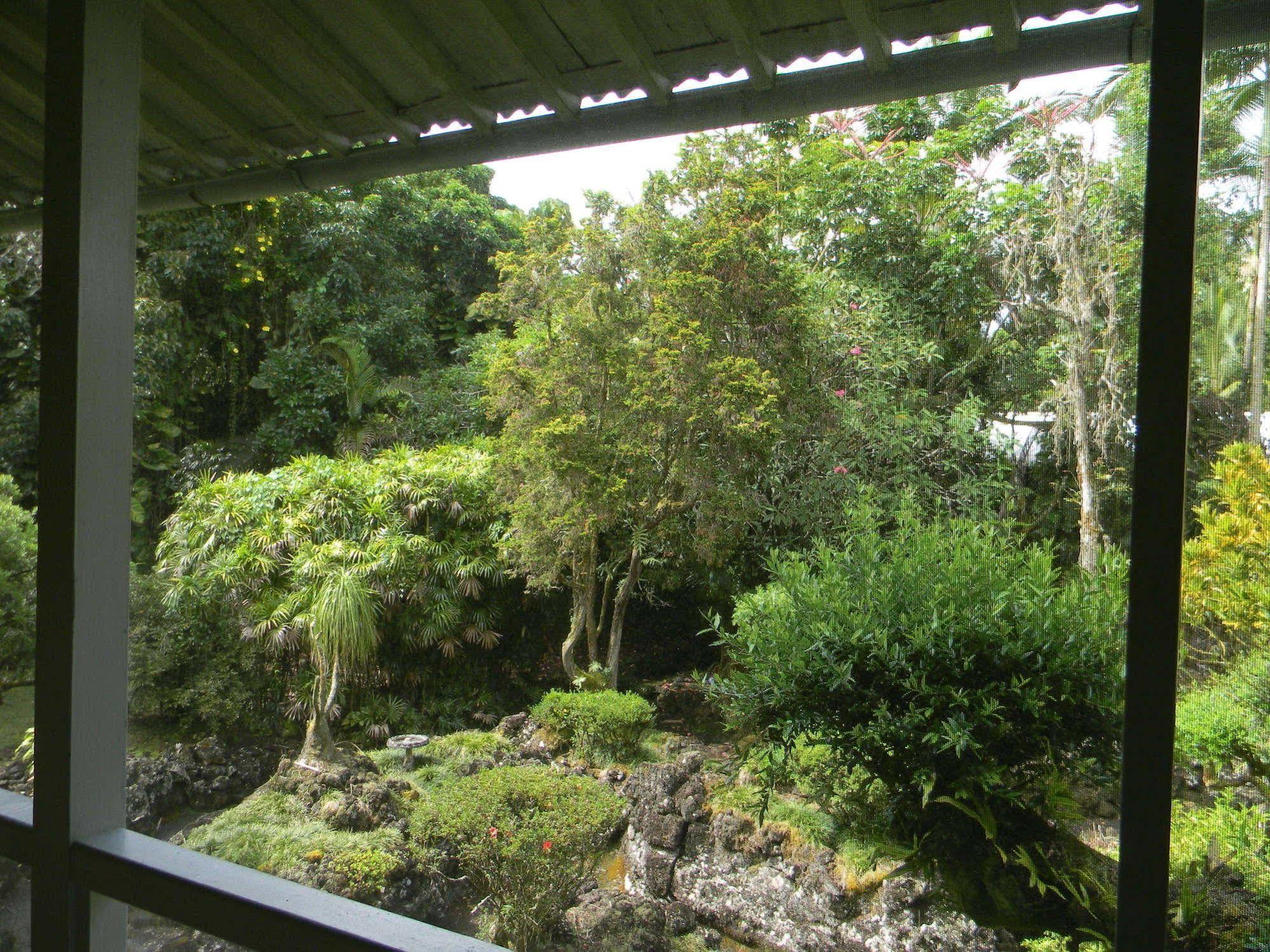 Maureen'S Bed And Breakfast Hilo Esterno foto