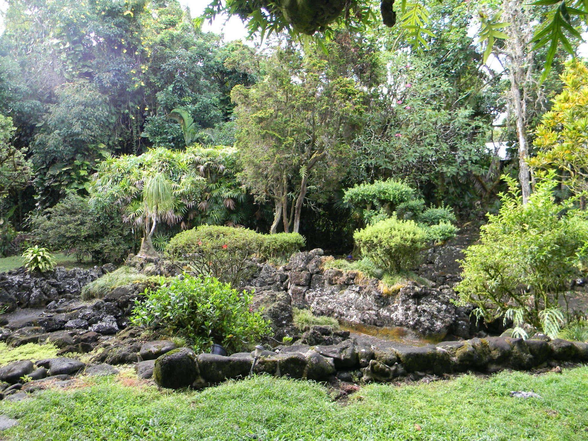 Maureen'S Bed And Breakfast Hilo Esterno foto